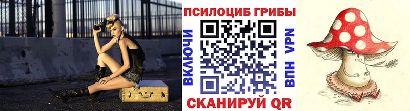 закладки  Мытищи  Псилоцибиновые грибы MAGIC MUSHROOMS 
